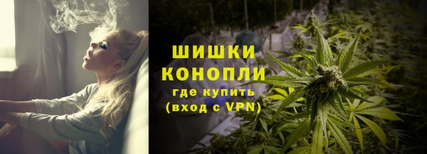 ПСИЛОЦИБИНОВЫЕ ГРИБЫ Чердынь