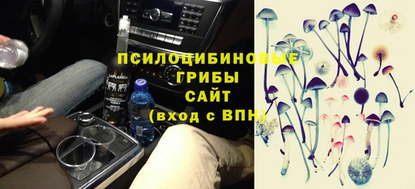 ПСИЛОЦИБИНОВЫЕ ГРИБЫ Чердынь